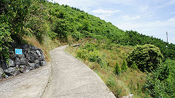 dsc00119_thumb.jpg