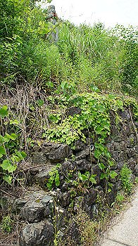 dsc00125_thumb.jpg