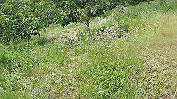 dsc00144_thumb.jpg