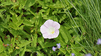 dsc00145_thumb.jpg