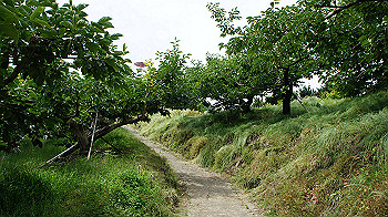 dsc00148_thumb.jpg