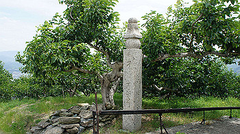 dsc00149_thumb.jpg