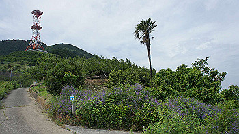dsc00152_thumb.jpg