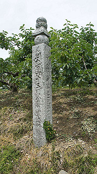 dsc00154_thumb.jpg