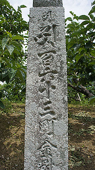 dsc00155_thumb.jpg