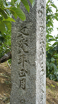 dsc00156_thumb.jpg