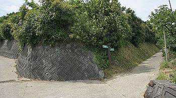 dsc00157_thumb.jpg