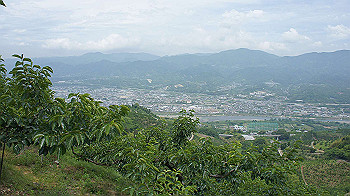 dsc00158_thumb.jpg
