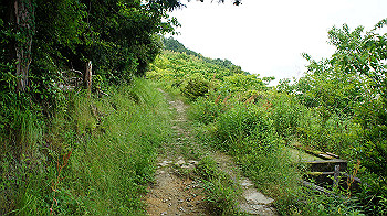 dsc00164_thumb.jpg