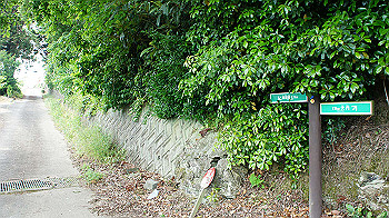 dsc00166_thumb.jpg