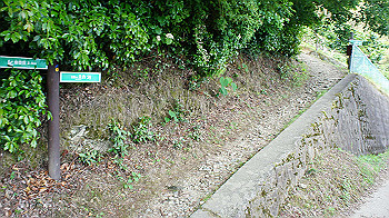 dsc00167_thumb.jpg