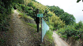 dsc00168_thumb.jpg