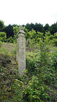 dsc00169_thumb.jpg