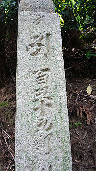 dsc00174_thumb.jpg