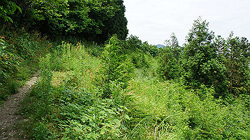 dsc00178_thumb.jpg