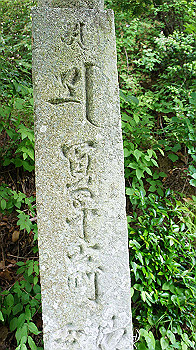 dsc00181_thumb.jpg