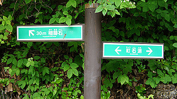 dsc00182_thumb.jpg