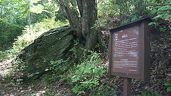 dsc00185_thumb.jpg