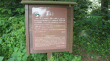 dsc00187_thumb.jpg