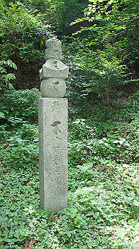 dsc00190_thumb.jpg