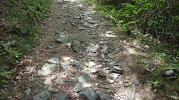 dsc00192_thumb.jpg