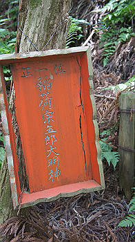 dsc00194_thumb.jpg