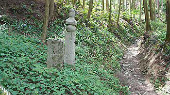 dsc00195_thumb.jpg