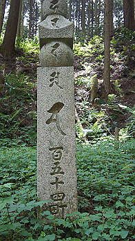 dsc00196_thumb.jpg