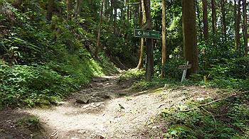 dsc00198_thumb.jpg