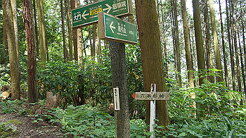 dsc00199_thumb.jpg