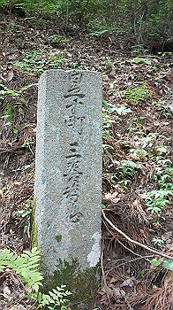 dsc00201_thumb.jpg
