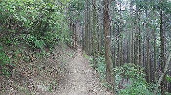 dsc00203_thumb.jpg