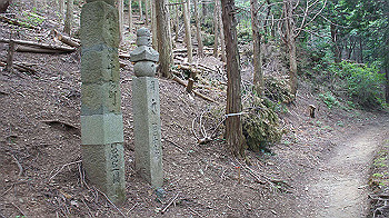 dsc00204_thumb.jpg