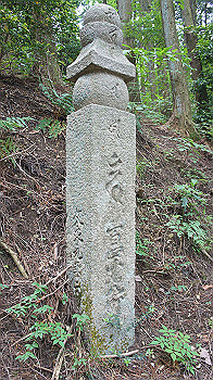 dsc00206_thumb.jpg
