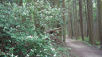 dsc00209_thumb.jpg