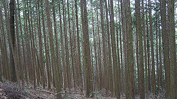 dsc00213_thumb.jpg