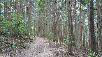 dsc00214_thumb.jpg