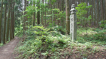 dsc00215_thumb.jpg