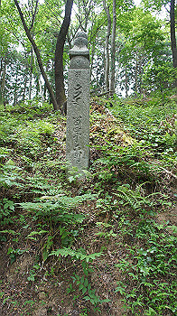 dsc00217_thumb.jpg