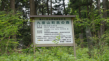 dsc00218_thumb.jpg