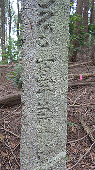 dsc00220_thumb.jpg