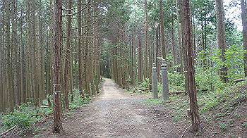 dsc00222_thumb.jpg