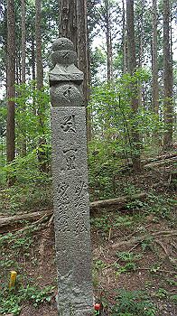 dsc00223_thumb.jpg