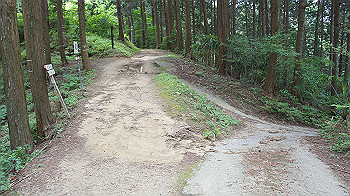 dsc00226_thumb.jpg