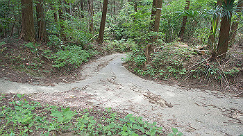 dsc00227_thumb.jpg