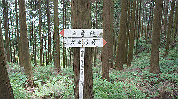 dsc00228_thumb.jpg