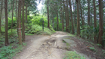dsc00229_thumb.jpg