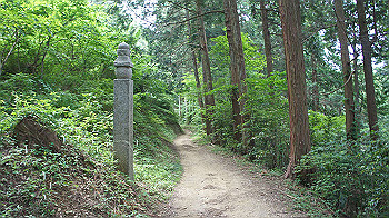 dsc00230_thumb.jpg