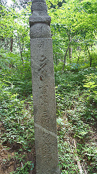 dsc00231_thumb.jpg