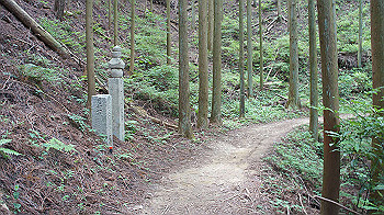 dsc00234_thumb.jpg